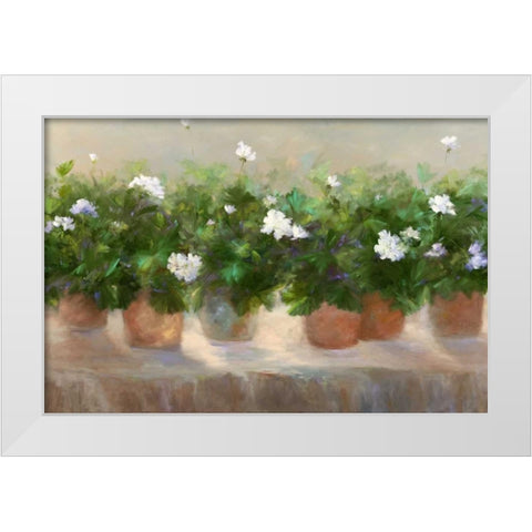 White Geraniums White Modern Wood Framed Art Print by Finch, Sheila