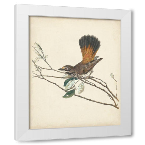 Graceful Birds II White Modern Wood Framed Art Print by Vision Studio