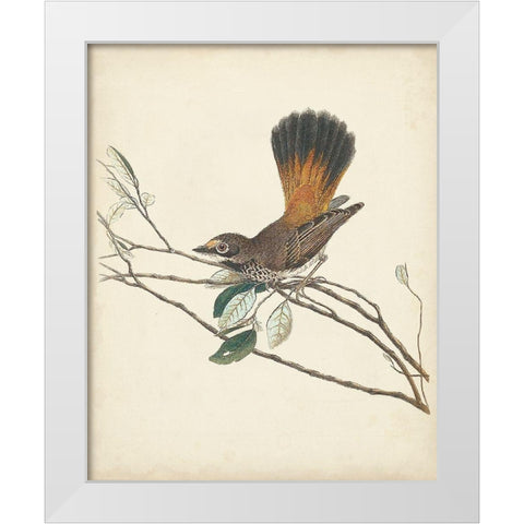 Graceful Birds II White Modern Wood Framed Art Print by Vision Studio