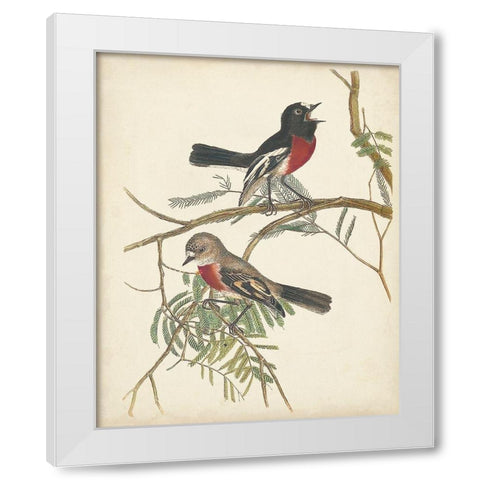 Graceful Birds IV White Modern Wood Framed Art Print by Vision Studio