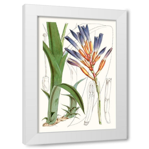 Tropical Plants I White Modern Wood Framed Art Print by Curtis
