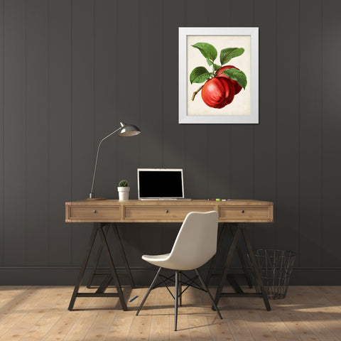 Antique Fruit X White Modern Wood Framed Art Print by Vision Studio