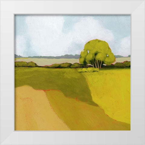 Sunkissed Solitude II White Modern Wood Framed Art Print by Popp, Grace