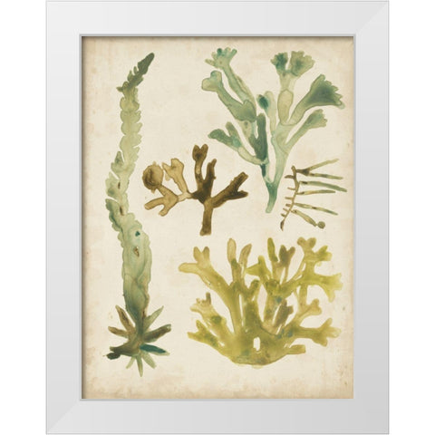 Vintage Sea Fronds I White Modern Wood Framed Art Print by Vess, June Erica