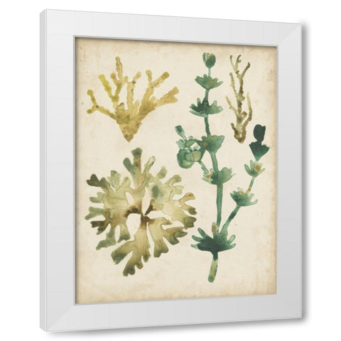 Vintage Sea Fronds II White Modern Wood Framed Art Print by Vess, June Erica