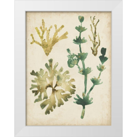Vintage Sea Fronds II White Modern Wood Framed Art Print by Vess, June Erica