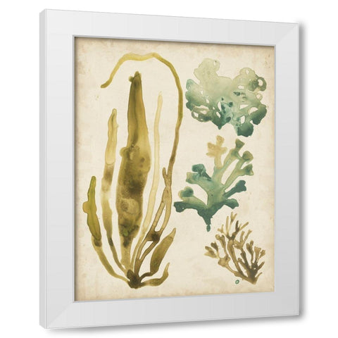 Vintage Sea Fronds III White Modern Wood Framed Art Print by Vess, June Erica