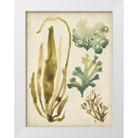 Vintage Sea Fronds III White Modern Wood Framed Art Print by Vess, June Erica