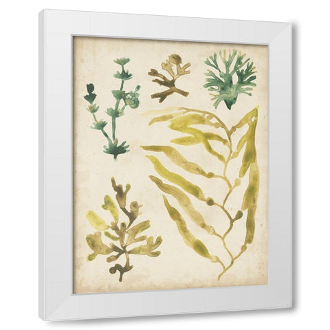 Vintage Sea Fronds IV White Modern Wood Framed Art Print by Vess, June Erica