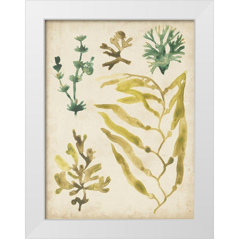 Vintage Sea Fronds IV White Modern Wood Framed Art Print by Vess, June Erica