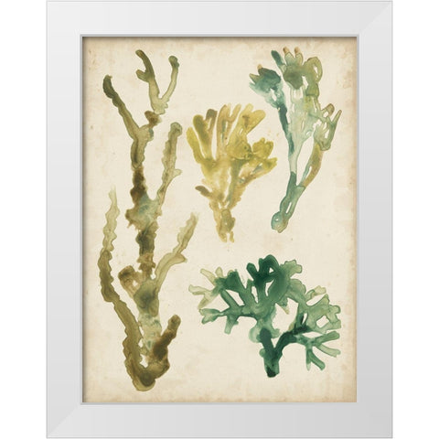 Vintage Sea Fronds V White Modern Wood Framed Art Print by Vess, June Erica