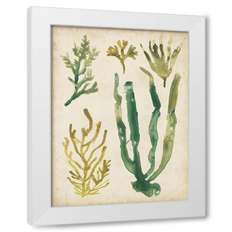 Vintage Sea Fronds VI White Modern Wood Framed Art Print by Vess, June Erica