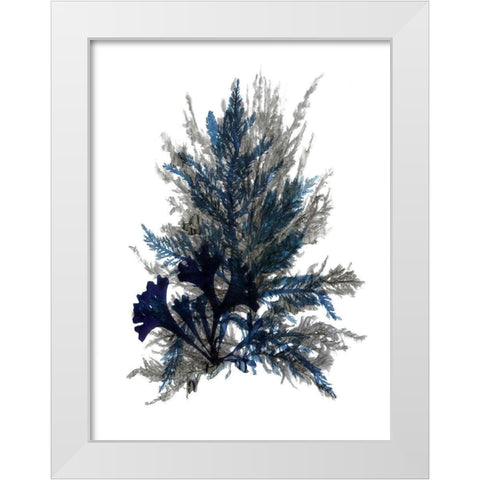 Ocean Bloom II White Modern Wood Framed Art Print by Stellar Design Studio