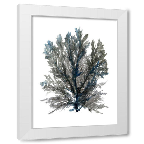 Ocean Bloom III White Modern Wood Framed Art Print by Stellar Design Studio