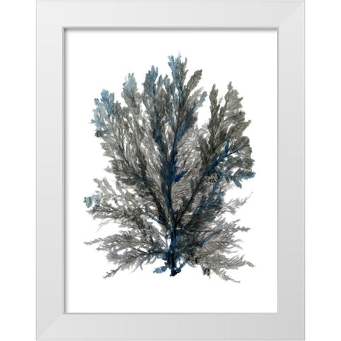 Ocean Bloom III White Modern Wood Framed Art Print by Stellar Design Studio