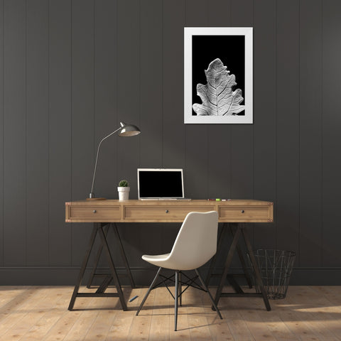 Striking Leaf IV White Modern Wood Framed Art Print by Stramel, Renee W.