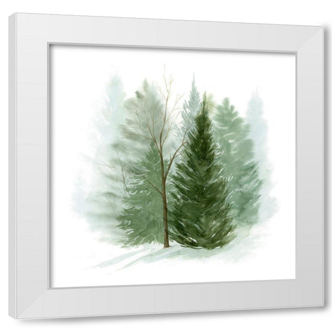 Walk in the Woods I White Modern Wood Framed Art Print by Popp, Grace