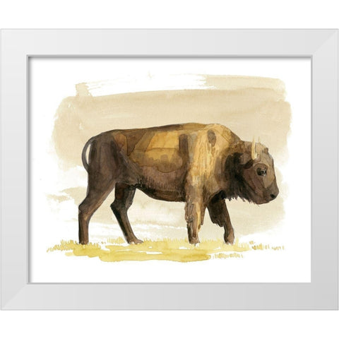 Bison Watercolor Sketch I White Modern Wood Framed Art Print by Popp, Grace