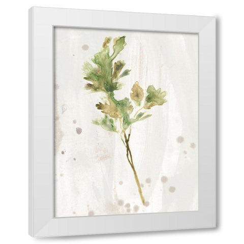 Antique Earthtone Herbs I White Modern Wood Framed Art Print by Vess, June Erica