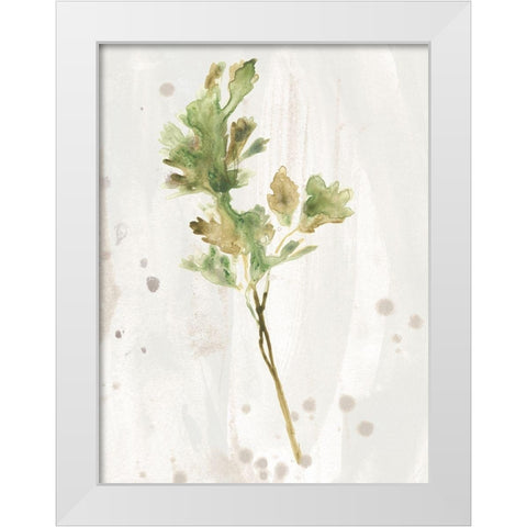 Antique Earthtone Herbs I White Modern Wood Framed Art Print by Vess, June Erica