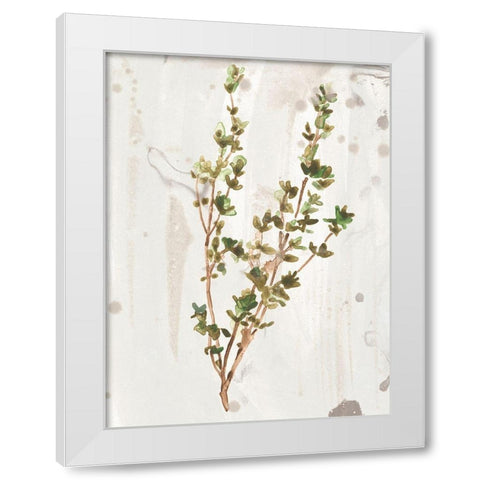 Antique Earthtone Herbs II White Modern Wood Framed Art Print by Vess, June Erica