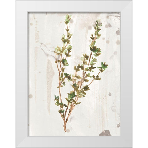 Antique Earthtone Herbs II White Modern Wood Framed Art Print by Vess, June Erica