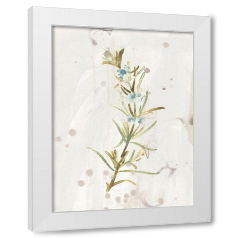Antique Earthtone Herbs III White Modern Wood Framed Art Print by Vess, June Erica