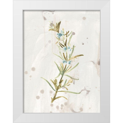 Antique Earthtone Herbs III White Modern Wood Framed Art Print by Vess, June Erica