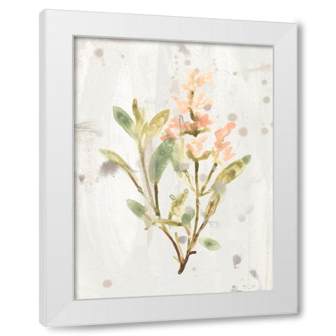 Antique Earthtone Herbs IV White Modern Wood Framed Art Print by Vess, June Erica