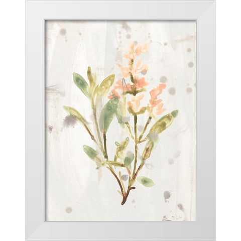 Antique Earthtone Herbs IV White Modern Wood Framed Art Print by Vess, June Erica