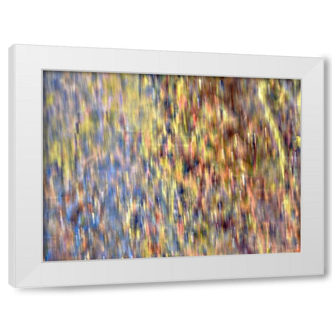 Bohemian Spirits IV White Modern Wood Framed Art Print by Bane, Eva