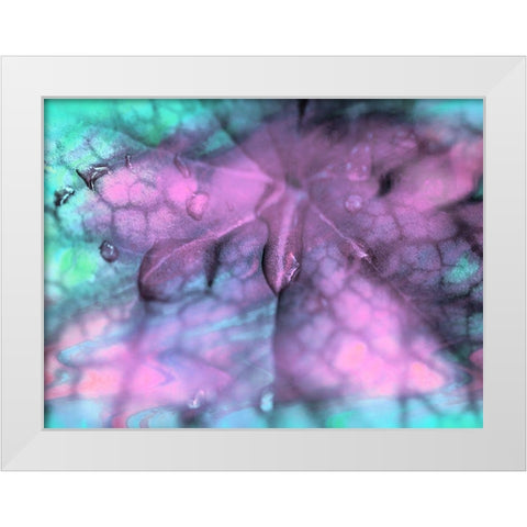 Celestial Dew Drops II White Modern Wood Framed Art Print by Bane, Eva