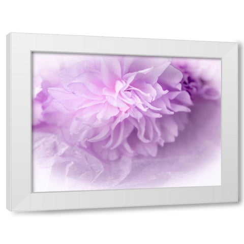 Dreamy Florals in Violet II White Modern Wood Framed Art Print by Bane, Eva