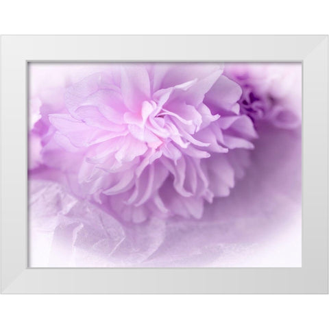 Dreamy Florals in Violet II White Modern Wood Framed Art Print by Bane, Eva