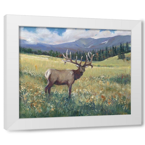 Rocky Mountain Elk I White Modern Wood Framed Art Print by OToole, Tim