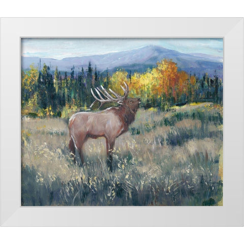 Rocky Mountain Elk II White Modern Wood Framed Art Print by OToole, Tim