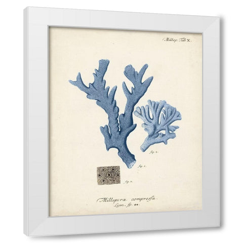 Antique Coral in Navy I White Modern Wood Framed Art Print by Esper, Johann