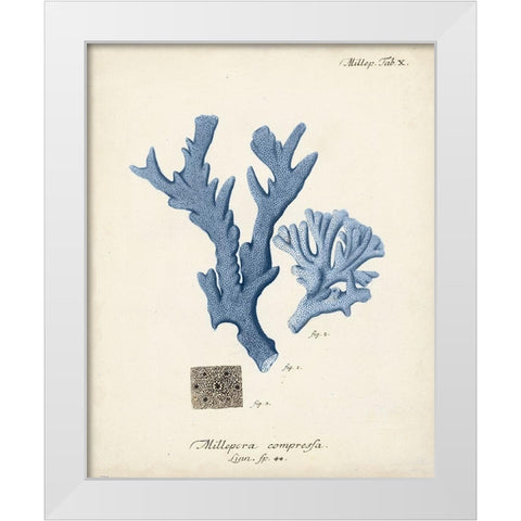 Antique Coral in Navy I White Modern Wood Framed Art Print by Esper, Johann