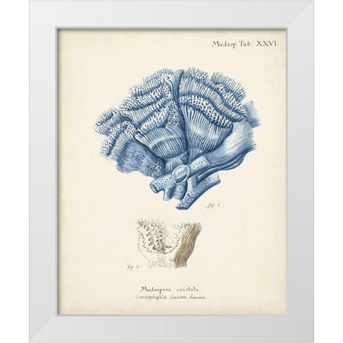 Antique Coral in Navy II White Modern Wood Framed Art Print by Esper, Johann