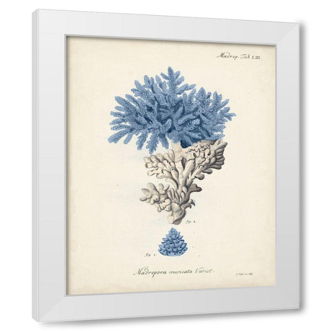 Antique Coral in Navy III White Modern Wood Framed Art Print by Esper, Johann