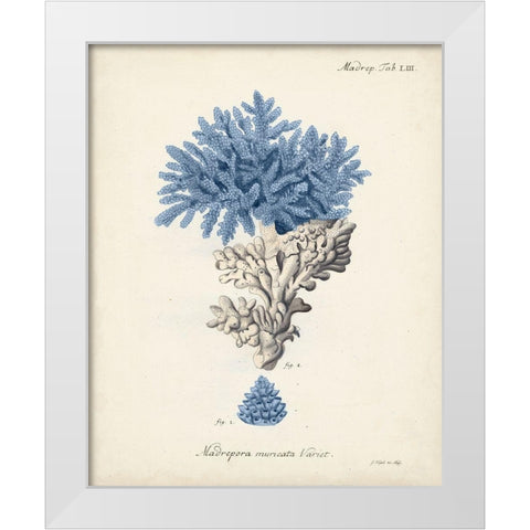 Antique Coral in Navy III White Modern Wood Framed Art Print by Esper, Johann