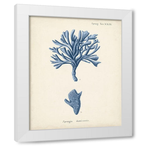 Antique Coral in Navy IV White Modern Wood Framed Art Print by Esper, Johann