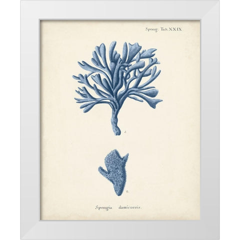 Antique Coral in Navy IV White Modern Wood Framed Art Print by Esper, Johann