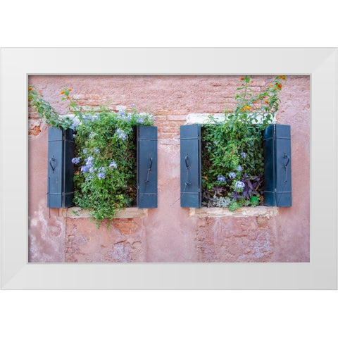 Italian Window Flowers II White Modern Wood Framed Art Print by DeNardo, Laura