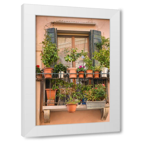 Italian Window Flowers III White Modern Wood Framed Art Print by DeNardo, Laura