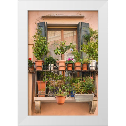 Italian Window Flowers III White Modern Wood Framed Art Print by DeNardo, Laura