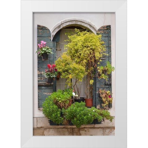 Italian Window Flowers IV White Modern Wood Framed Art Print by DeNardo, Laura