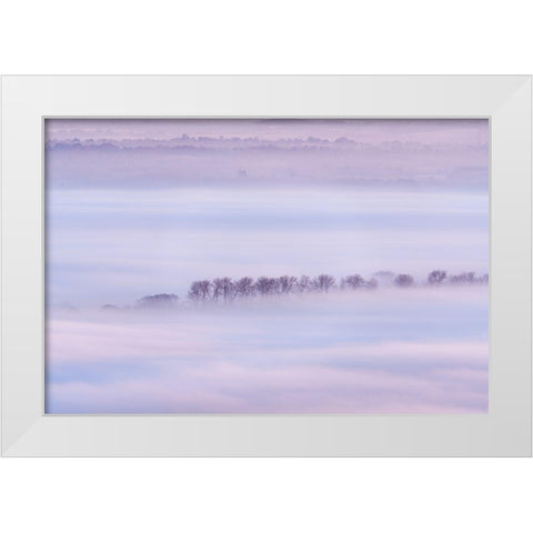 Mist Ripples II White Modern Wood Framed Art Print by Dautlich, Nick