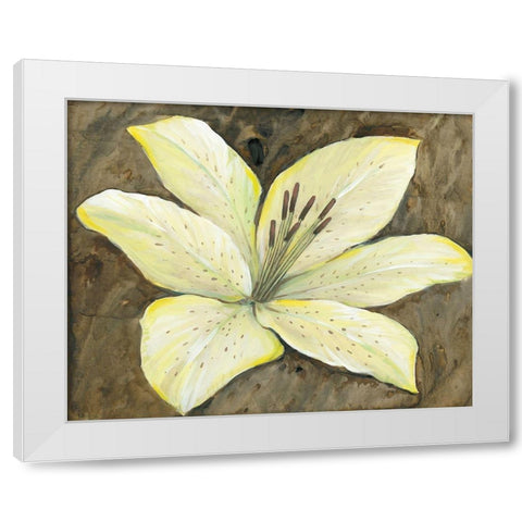 Neutral Lily I White Modern Wood Framed Art Print by OToole, Tim