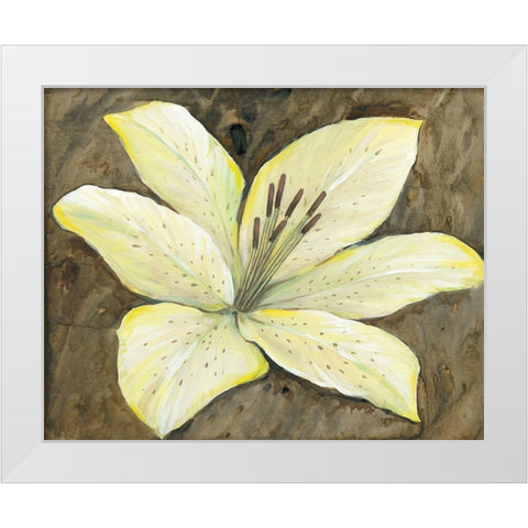 Neutral Lily II White Modern Wood Framed Art Print by OToole, Tim